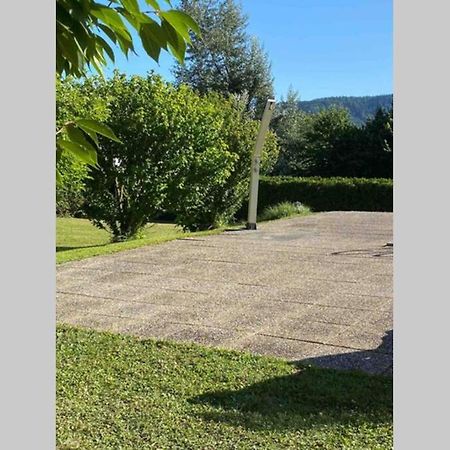 בודמן-לודוויגסהפן Die Seeblume - Ferienwohnung Mit Pool Und Seeblick מראה חיצוני תמונה